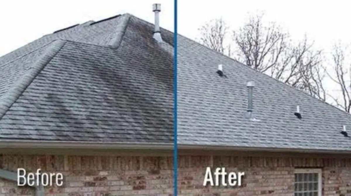 Before-and-after roof softwashing showing black algae streaks removed